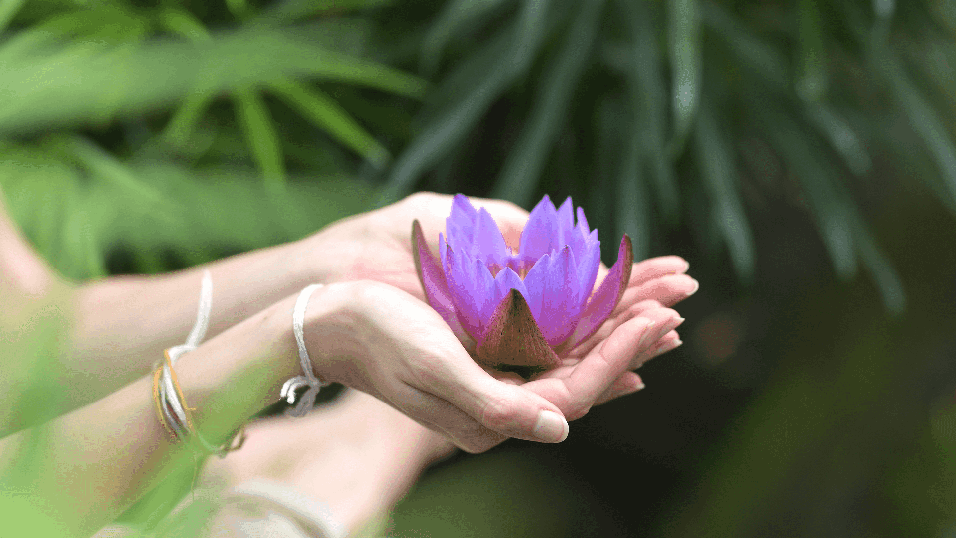 Herbal tea and dried fruits